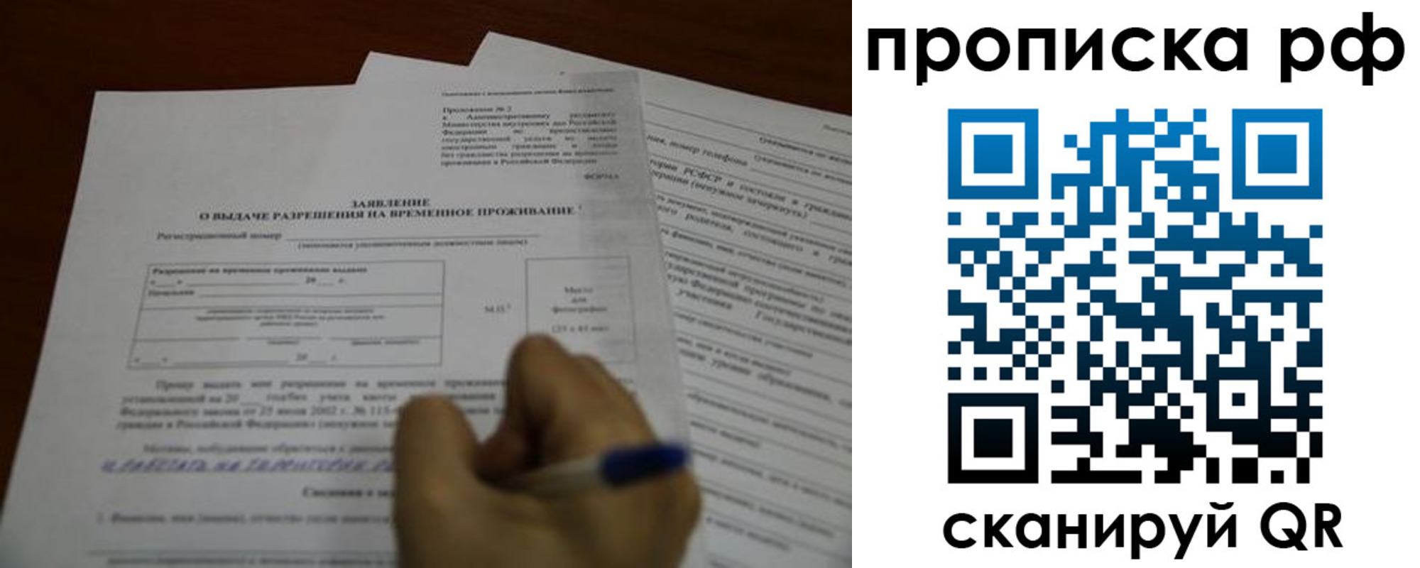 прописка регистрация в Ясном